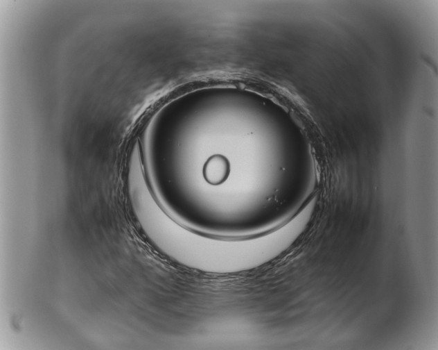 X0000102271160200808011421