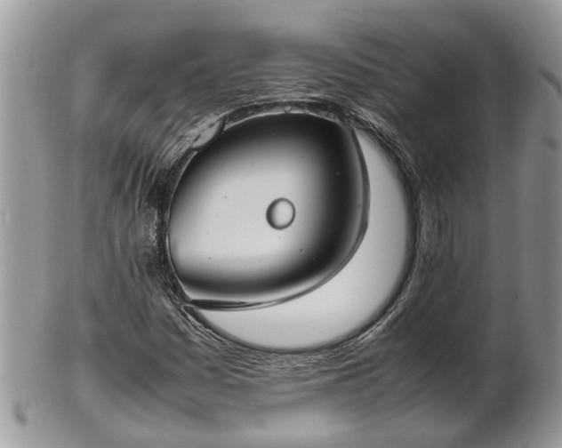 X0000102271161200808011421