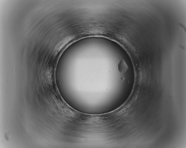 X0000102271162200808011421