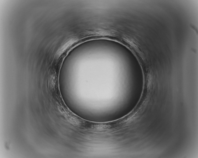 X0000102271163200808011421