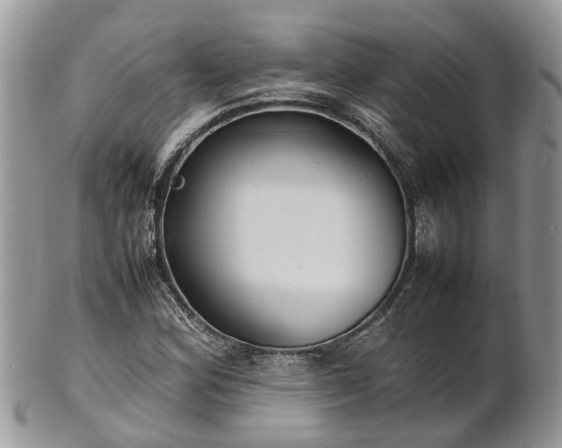 X0000102271164200808011421