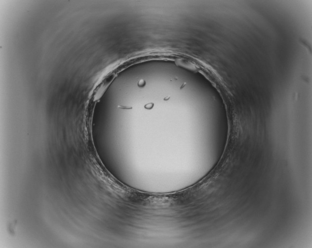 X0000102271168200808011421