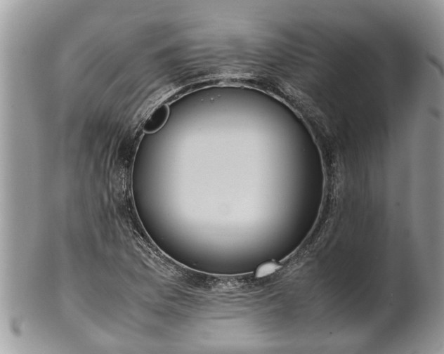 X0000102271169200808011421