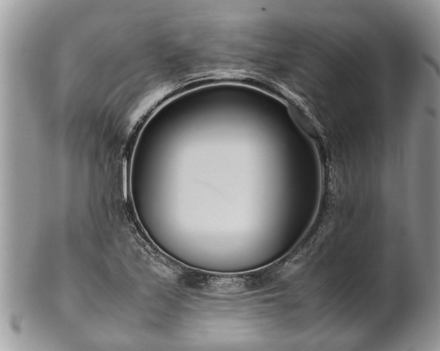 X0000102271171200808011421