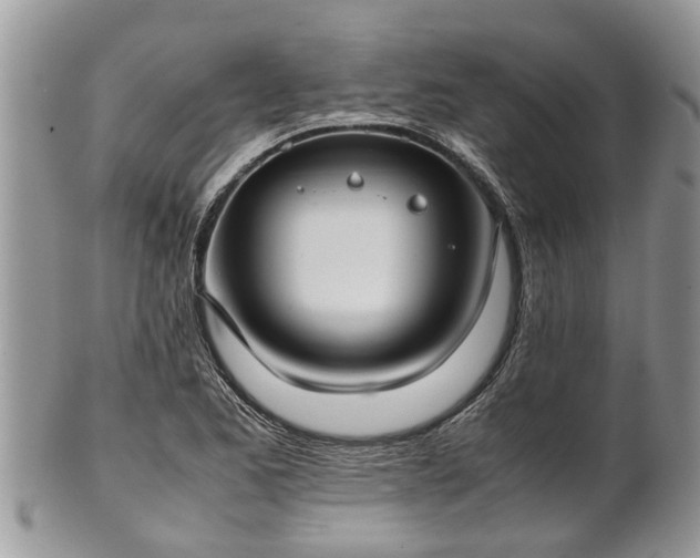 X0000102271173200808011421