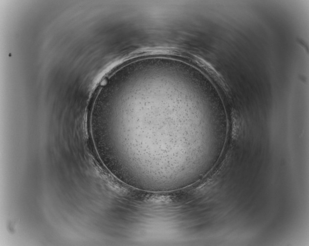 X0000102271174200808011421
