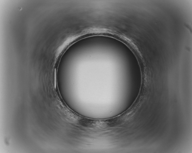 X0000102271175200808011421