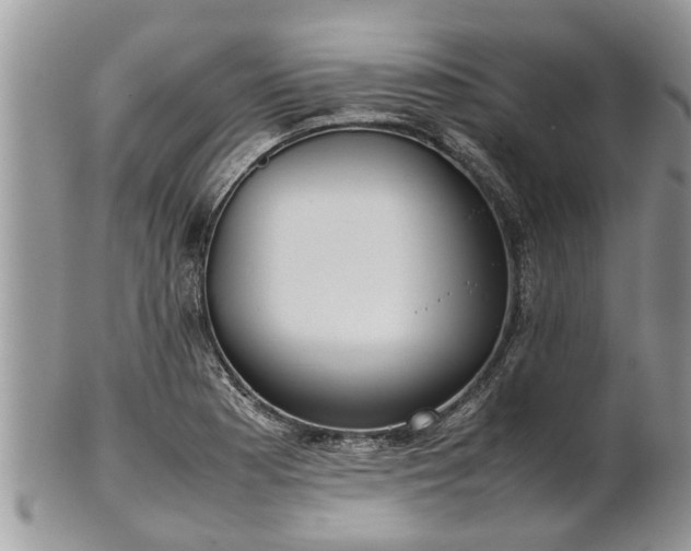 X0000102271177200808011421