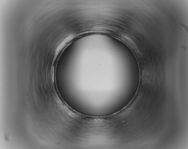 X0000102271180200808011421