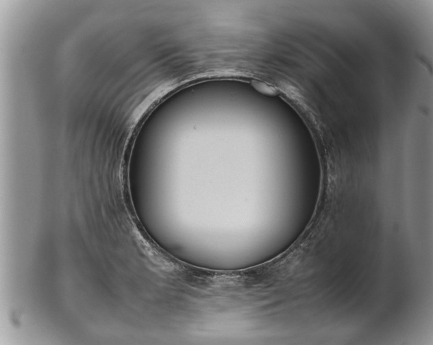 X0000102271181200808011421