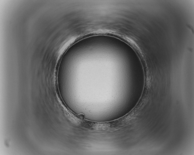 X0000102271183200808011421