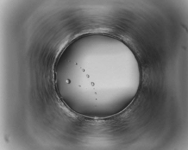 X0000102271184200808011421