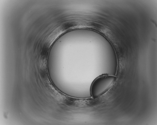 X0000102271185200808011421