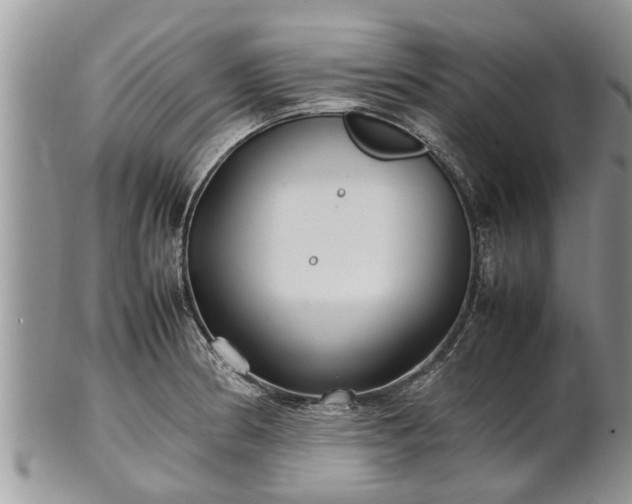 X0000102271186200808011421