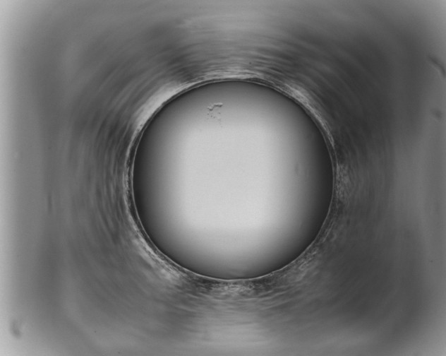X0000102271187200808011421