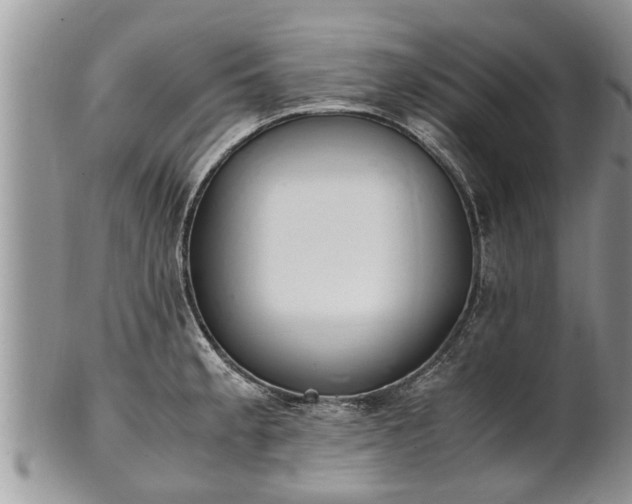 X0000102271189200808011421