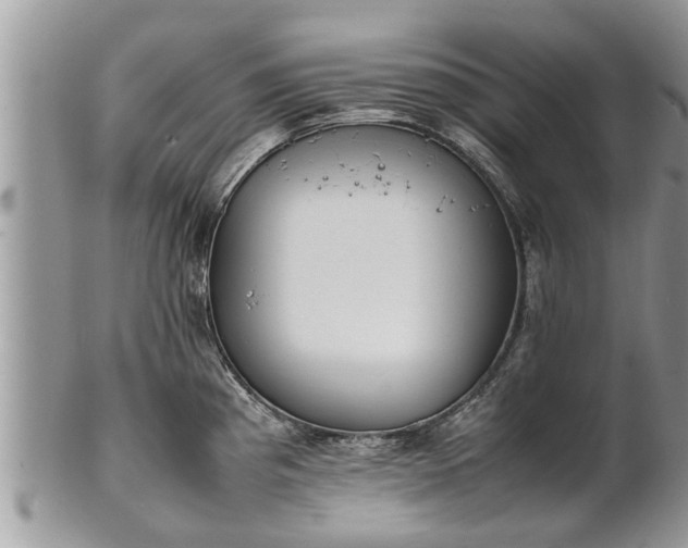 X0000102271193200808011421