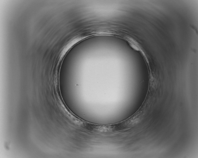 X0000102271195200808011420
