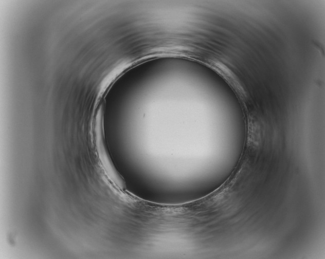X0000102271196200808011420