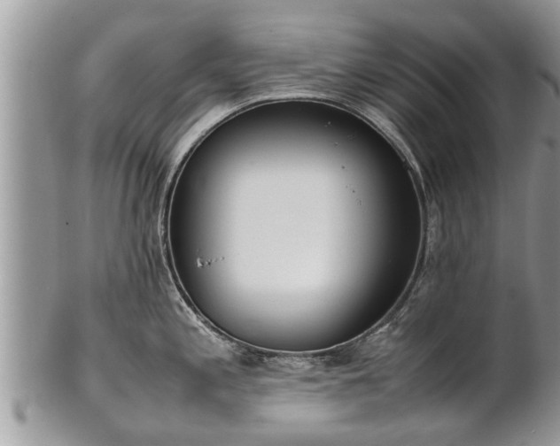 X0000102271197200808011420