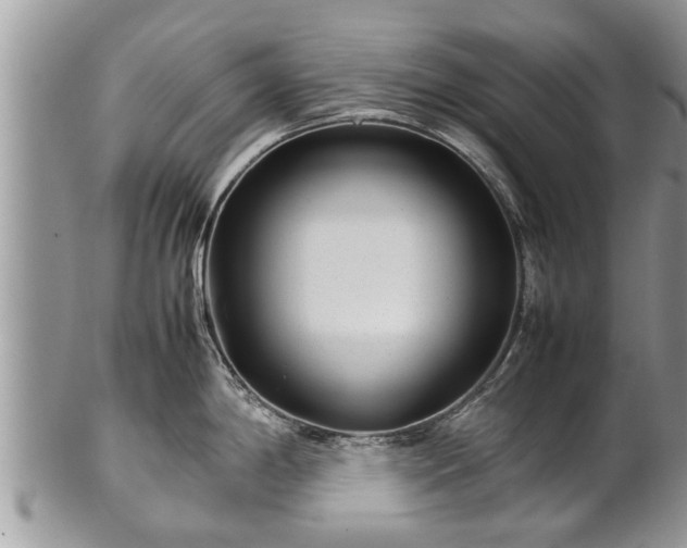 X0000102271198200808011420