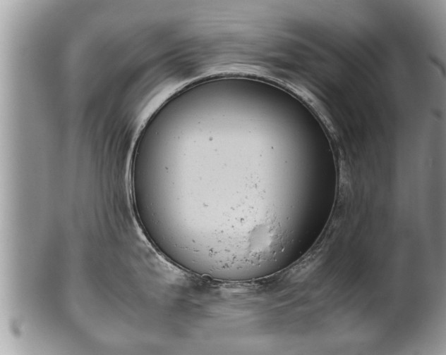 X0000102271199200808011420