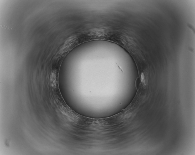 X0000102271203200808011420