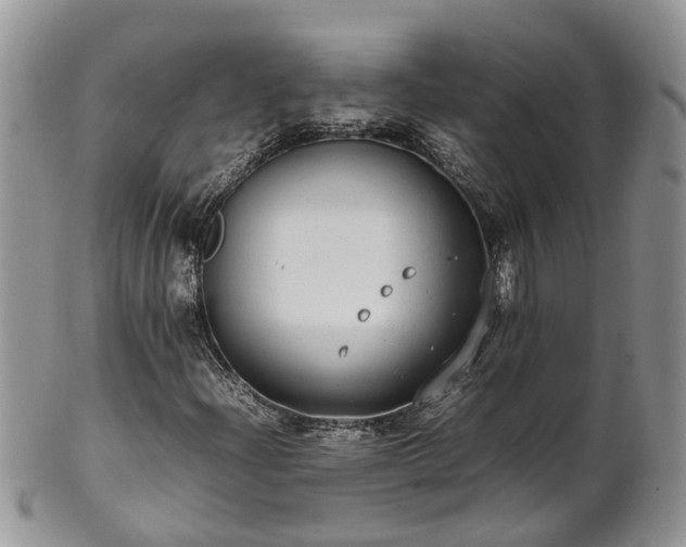 X0000102271204200808011420