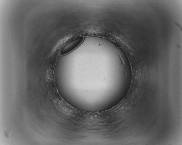 X0000102271207200808011420