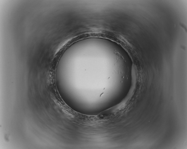 X0000102271208200808011420