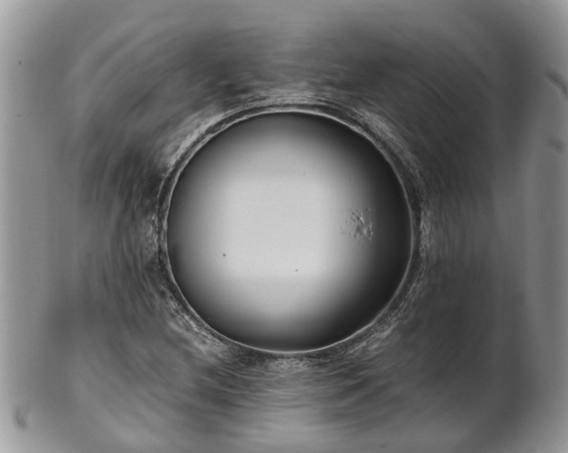 X0000102271212200808011420