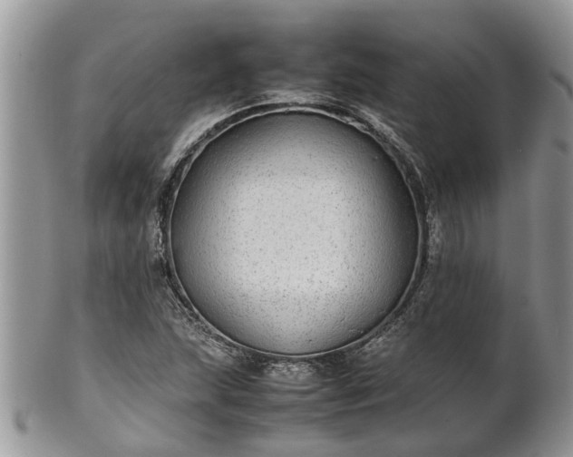 X0000102271215200808011420