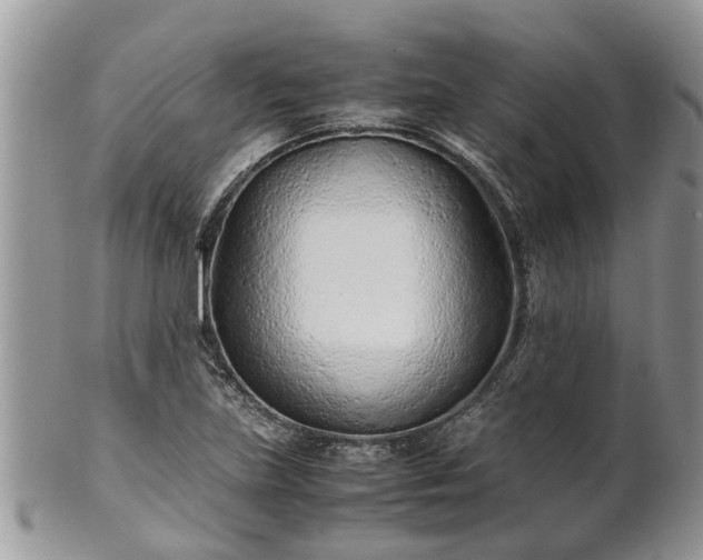 X0000102271219200808011420