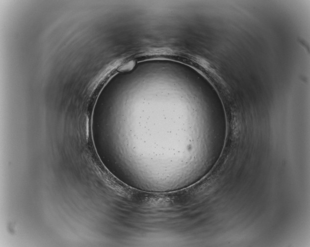 X0000102271221200808011420