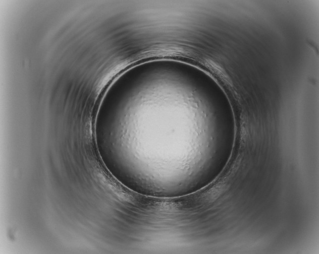 X0000102271226200808011420