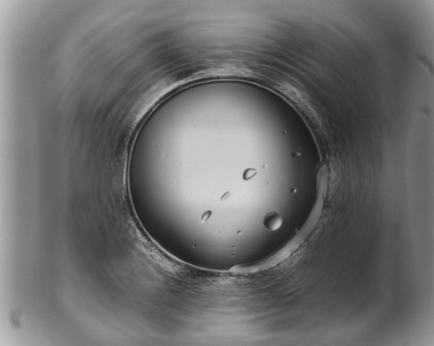 X0000102271228200808011420