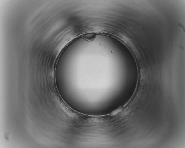 X0000102271234200808011420