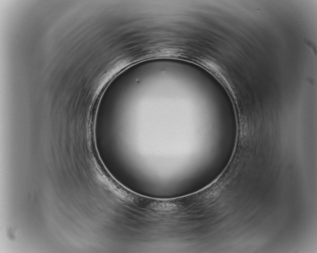 X0000102271235200808011420