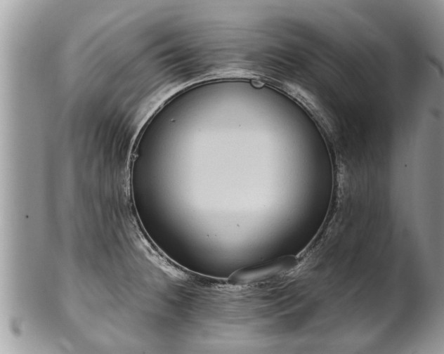X0000102271236200808011420