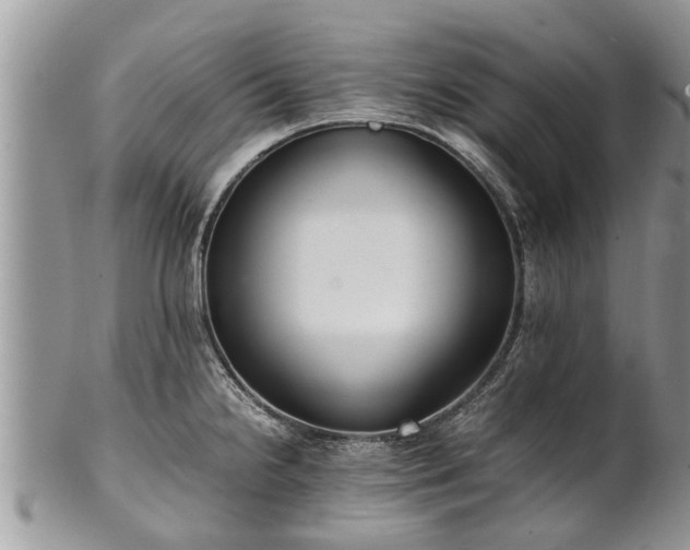 X0000102271238200808011420