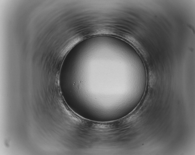 X0000102271241200808011420