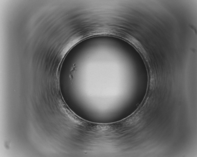 X0000102271242200808011420