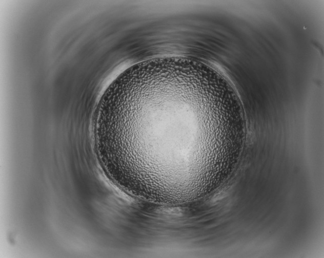 X0000102271243200808011420