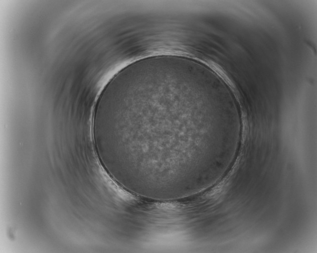 X0000102271246200808011420