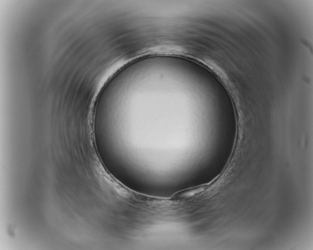 X0000102271248200808011420