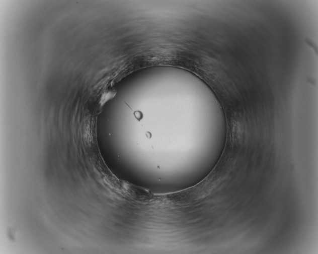 X0000102271250200808011419