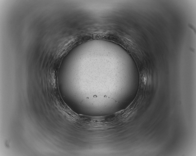 X0000102271252200808011419