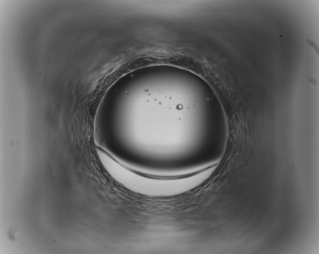X0000102271253200808011419
