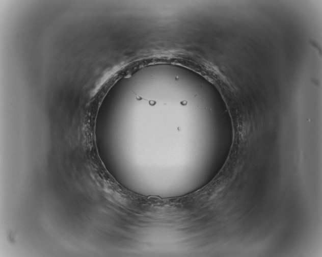 X0000102271256200808011419