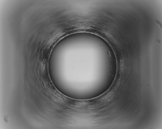 X0000102271257200808011419